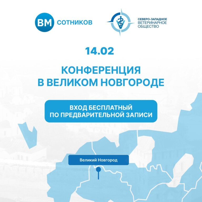 Конференция в Великом Новгороде