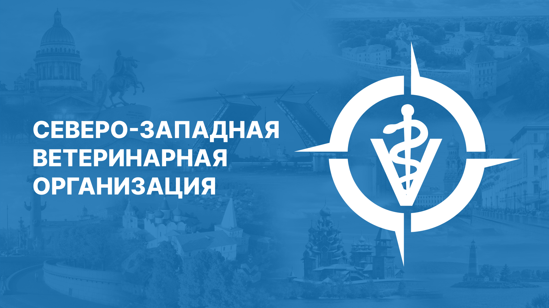 Северо-Западная ветеринарная организация